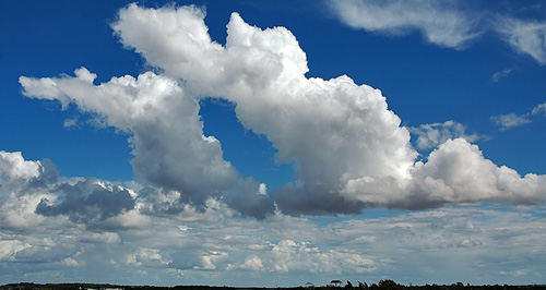 Cumulus Congestus - 10 septembre 2005 - Mini